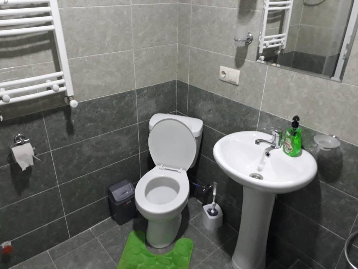 Гостевой дом guest house DIDEBULI Боржоми-28