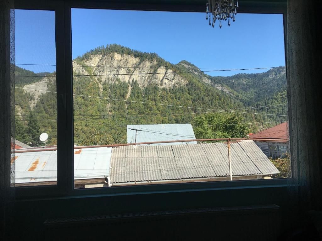 Гостевой дом guest house DIDEBULI Боржоми-50