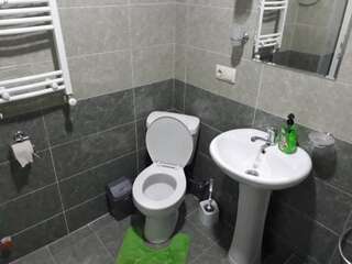 Гостевой дом guest house DIDEBULI Боржоми Семейный номер с видом на горы-9