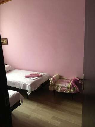 Гостевой дом guest house DIDEBULI Боржоми Двухместный номер Делюкс с 1 кроватью или 2 отдельными кроватями-3