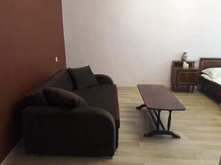 Гостевой дом guest house DIDEBULI Боржоми Номер-студио Делюкс с кроватью размера "queen-size"-2