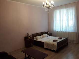 Гостевой дом guest house DIDEBULI Боржоми Номер-студио Делюкс с кроватью размера "queen-size"-3