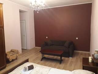 Гостевой дом guest house DIDEBULI Боржоми Номер-студио Делюкс с кроватью размера "queen-size"-5