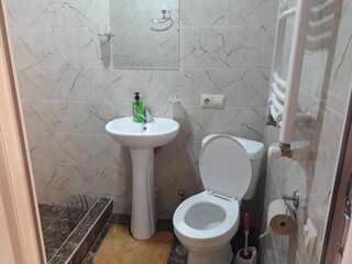 Гостевой дом guest house DIDEBULI Боржоми Номер-студио Делюкс с кроватью размера "queen-size"-7